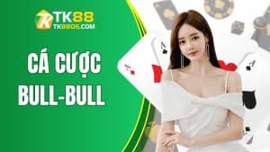 Tối Ưu Hóa Lợi Nhuận Cùng TK88 khi cược Bull-Bull