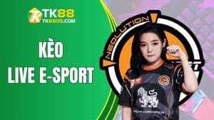 Bí Kíp Ăn Chắc Kèo Live E-Sport Đỉnh Cao Tại TK88