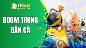 Lợi ích khi sử dụng và mua boom trong bắn cá TK88